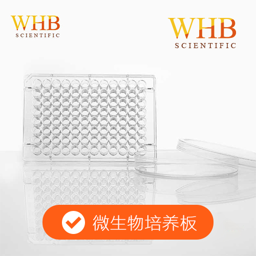 微生物培養板 Microbial culture plate