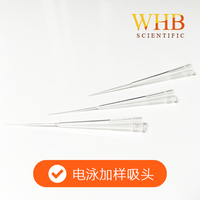 200ul电泳加样吸头 200ul Pipette Tips