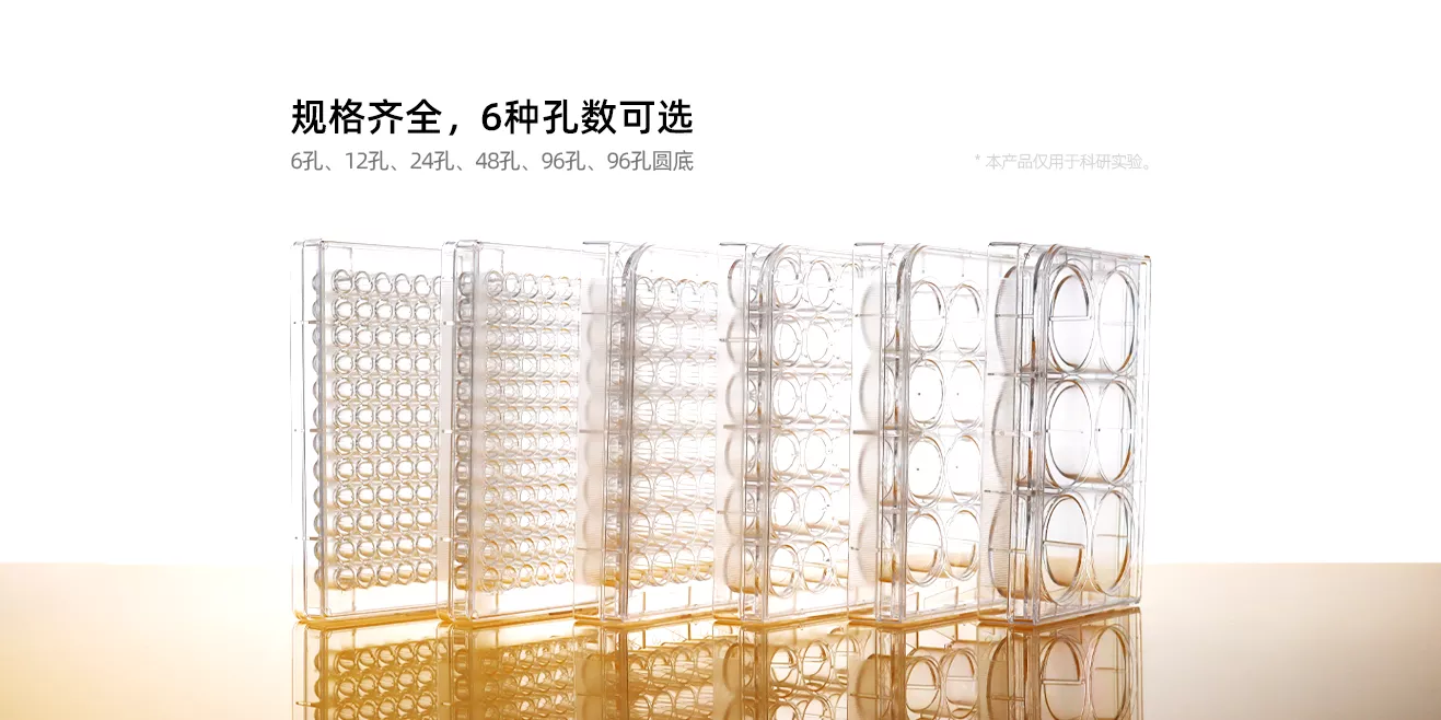 培養(yǎng)板2.png