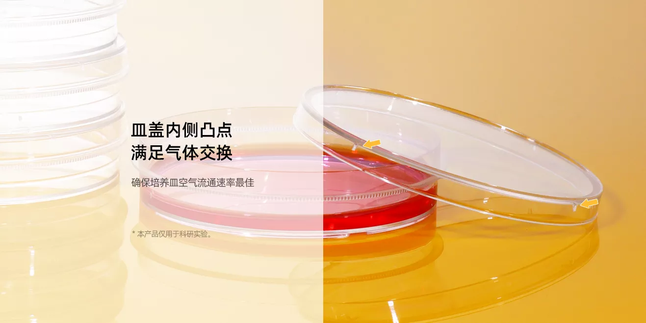 培養(yǎng)板6.png